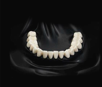 Коффердам Sanctuary черный для фотографии